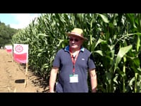 Eduardo Sanjurjo. SAT Virgen de Fátima (Guitiriz. Lugo)