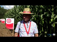 Adolfo Porteiro. Ganadería Pose (Coristanco. A Coruña)