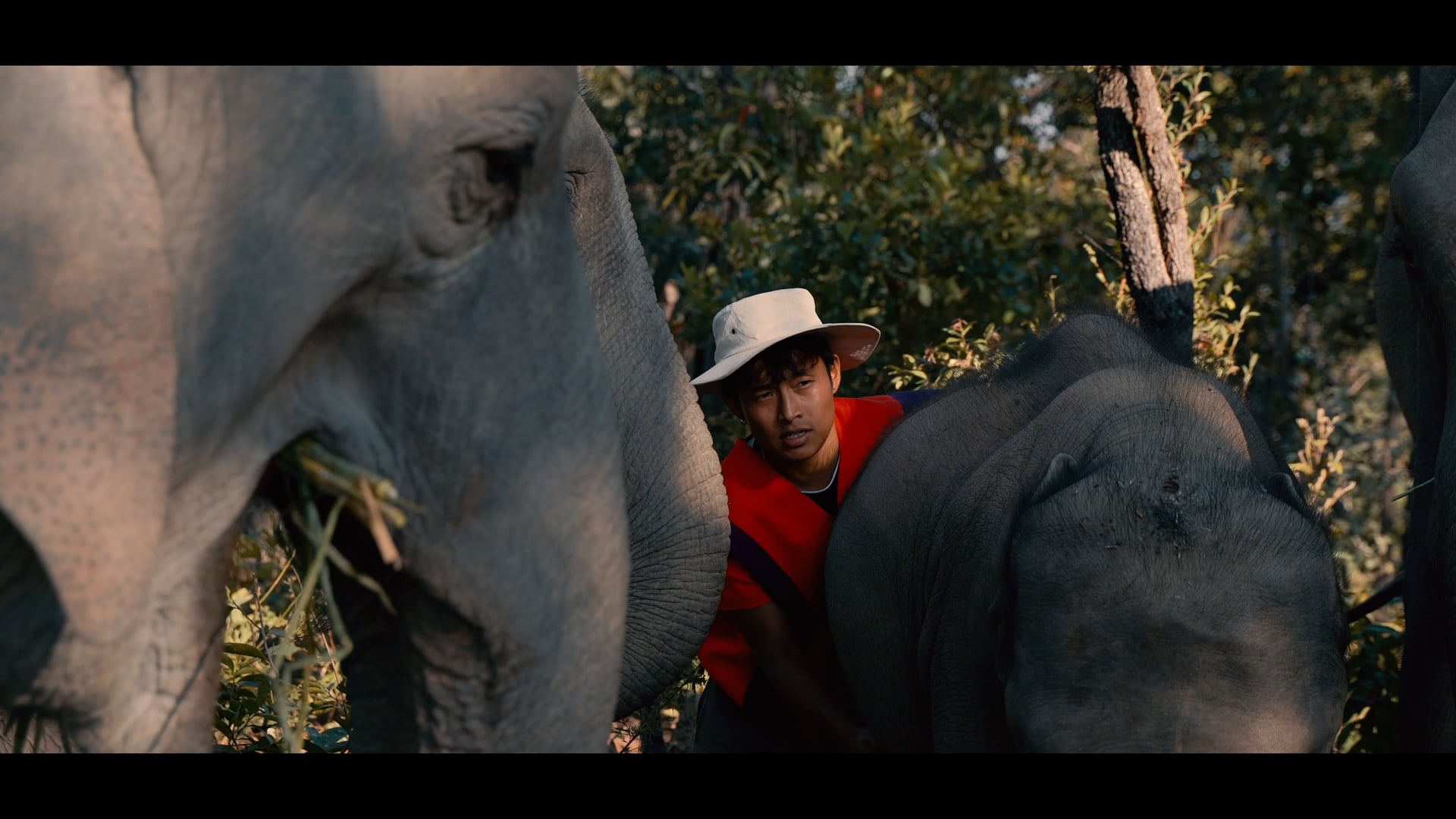 A day with elephants - Chiang Mai, Thailand