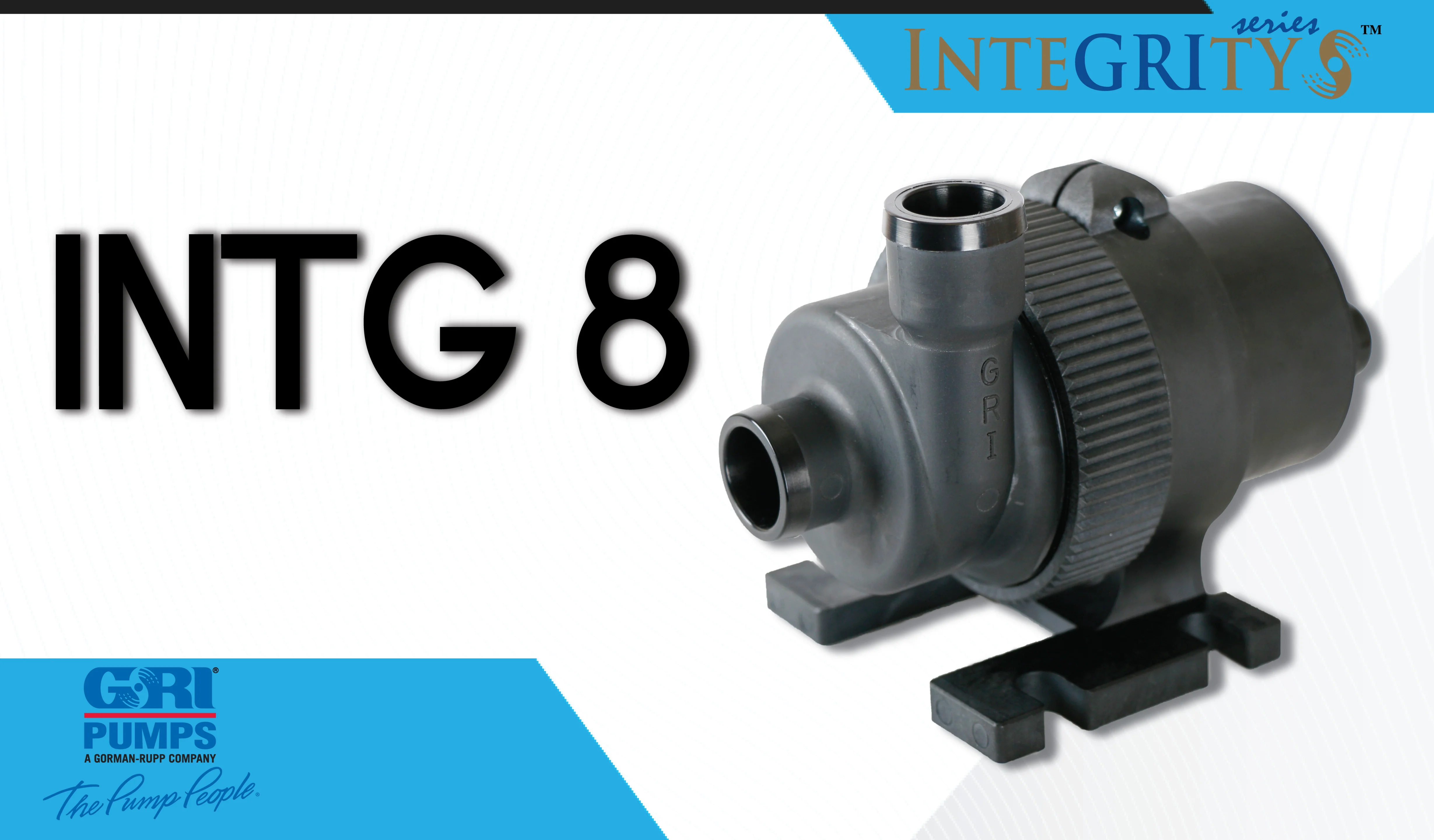 Gorman-Rupp 2 In. Cast Iron Self Priming Centrifugal Pump - Up To 130 GPM - John M. Ellsworth Company - Foto 9