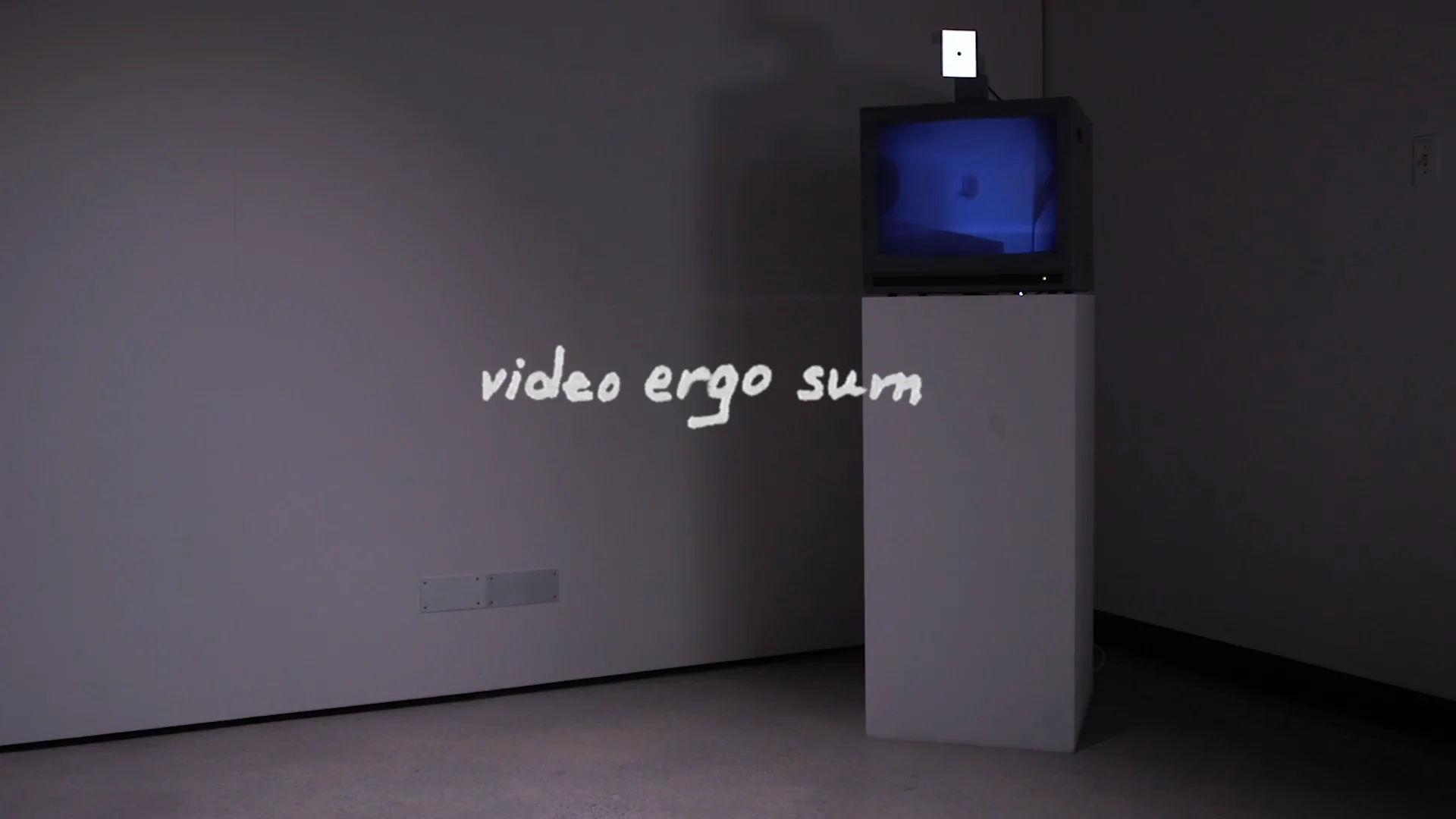 Ergo video shop