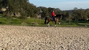 Related Embedded Video Item Thumbnail