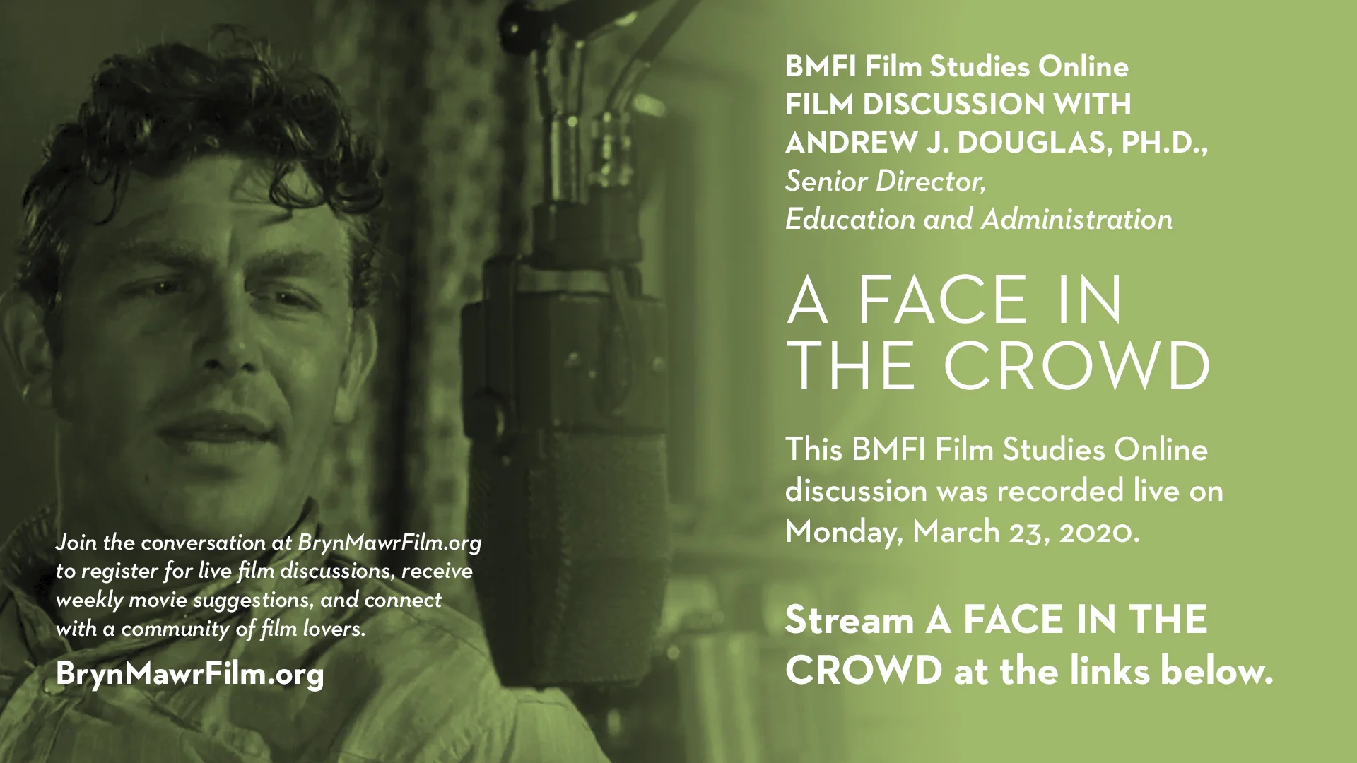 a face in the crowd poster