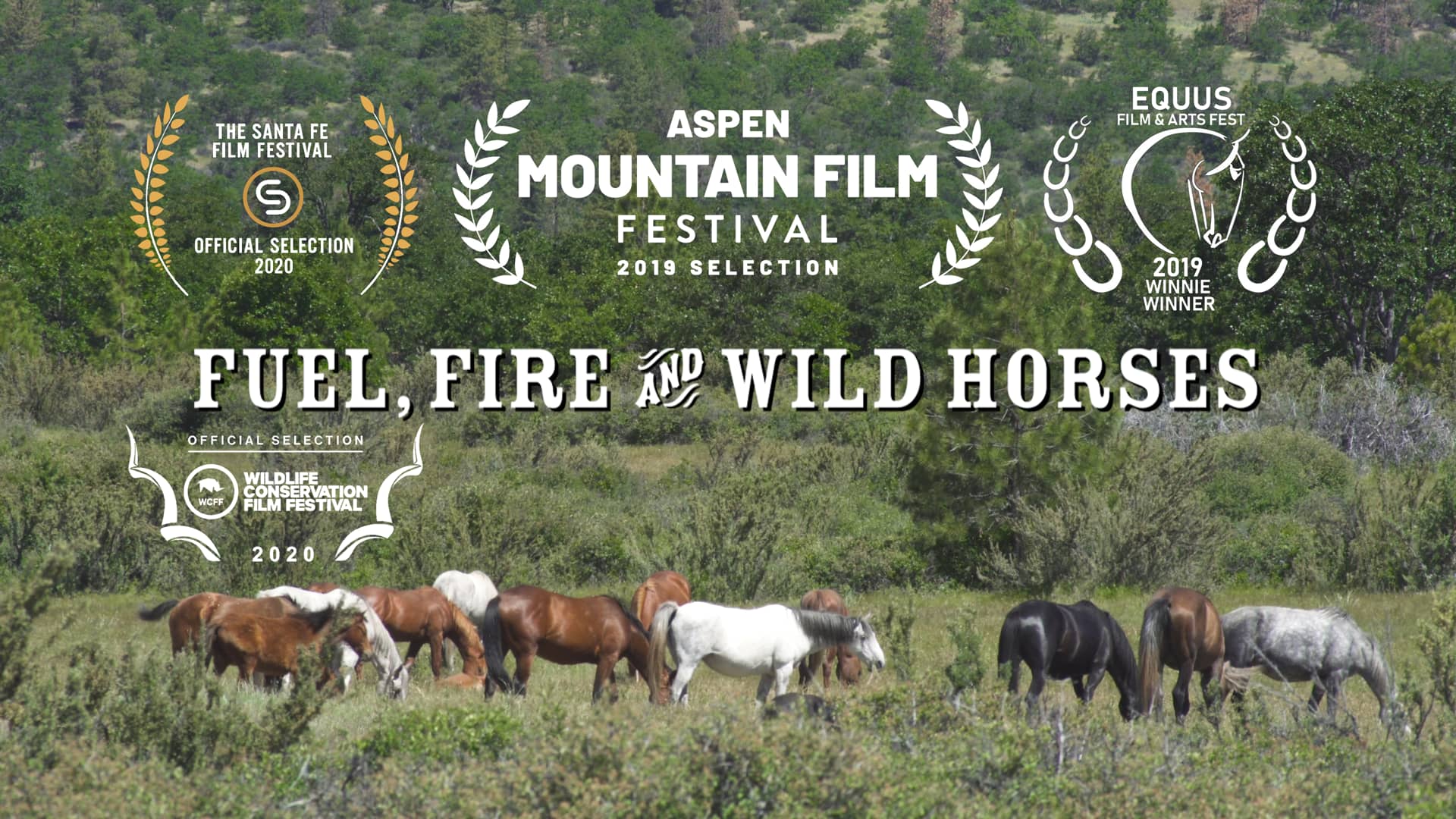 Fuel, Fire, and Wild Horses on Vimeo