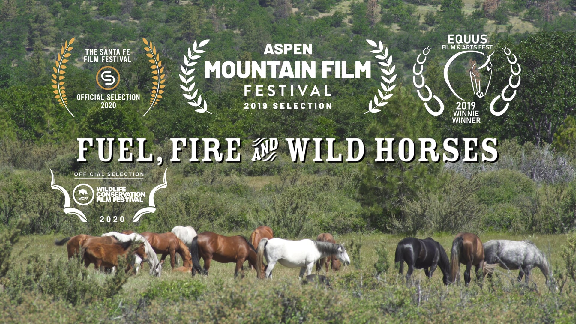 Fuel, Fire, and Wild Horses