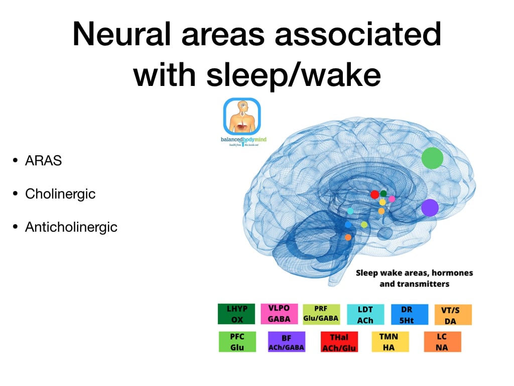 Neurobiology Of Sleep Members On Vimeo