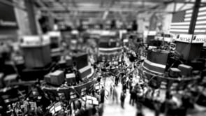 Photojournalism & Multimedia