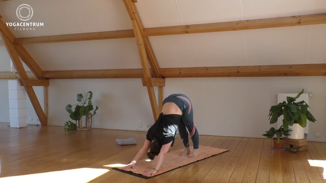 Vinyasa flow - English