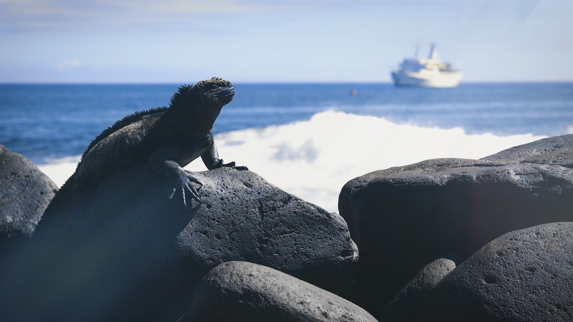 KLEIN TOURS. Galapagos Islands