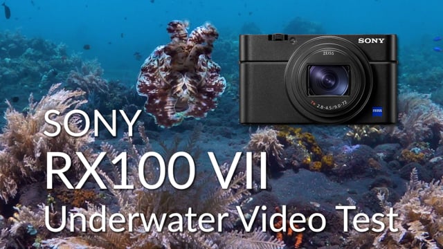Sony RX100 VII Underwater Video Test