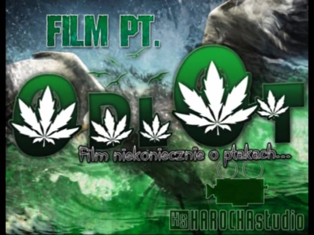 Odlot – film niekoniecznie o ptakach