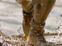 Strong Viking - Mud Nijmegen