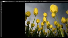 NUKE - Essential - 02 - Outils - 44 - RotoPaint Clone & Reveal