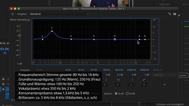⭐️ Malte Vertiefung: Parametrischer Equalizer für Premiere UND Audition