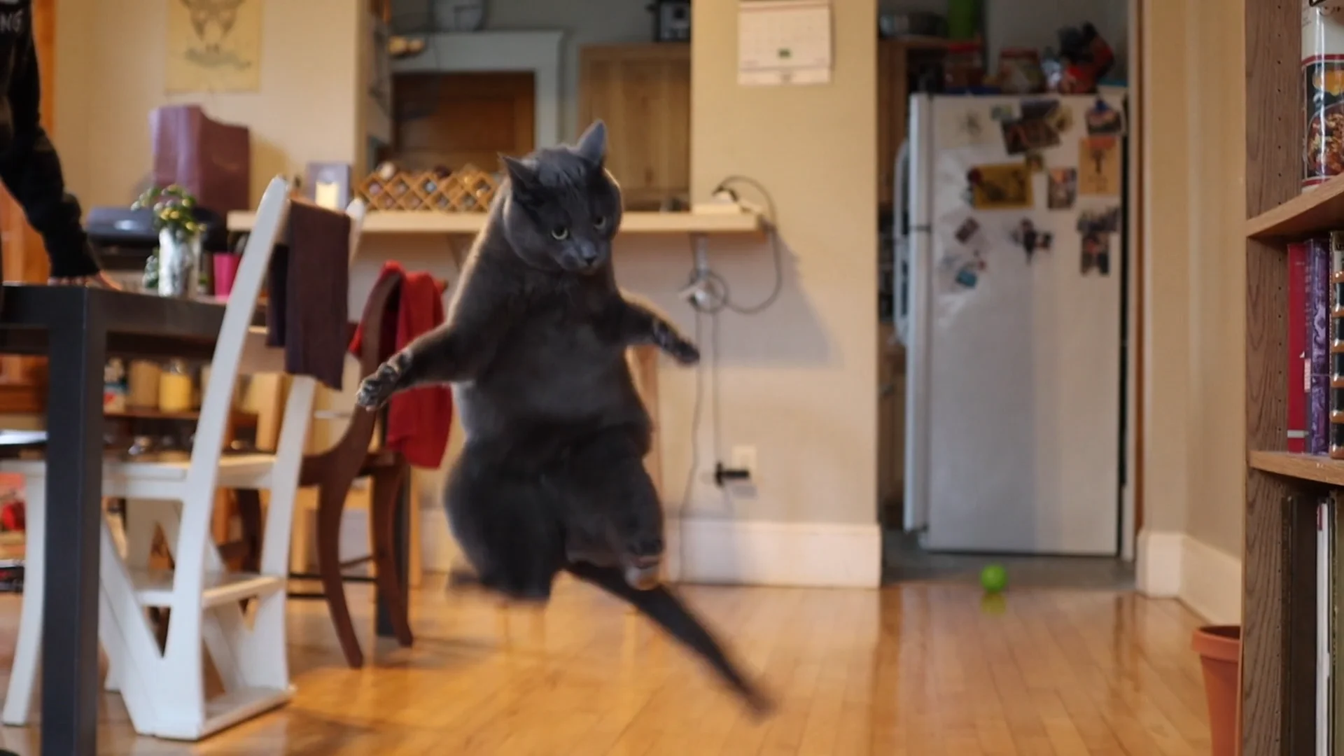Motion with Murph on Vimeo