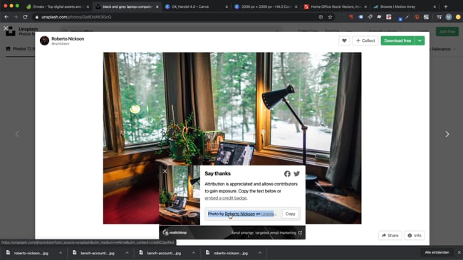 Bild- und Videobörsen (Envato, Unplash, Canva, Motion Array, Shutterstock, Bigstock-Foto)