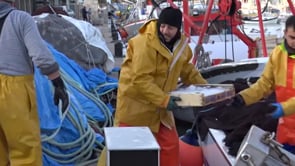 La confraria de pescadors es planteja tancar portes