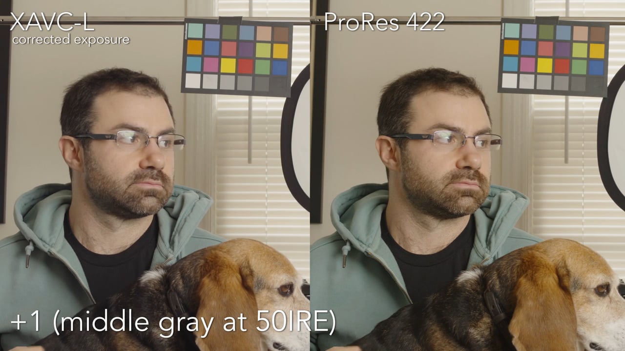 Sony PXW-FS5 exposure latitude test