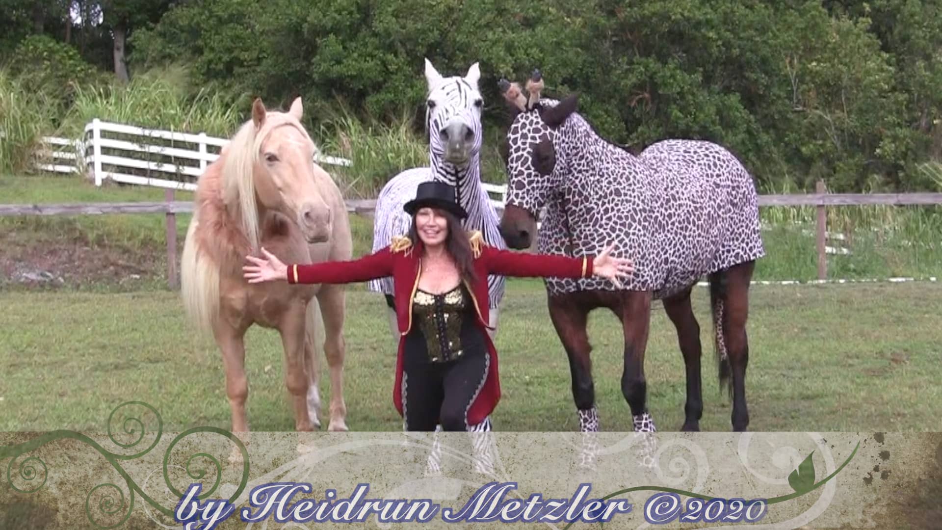 The Wild Animal Show on Vimeo