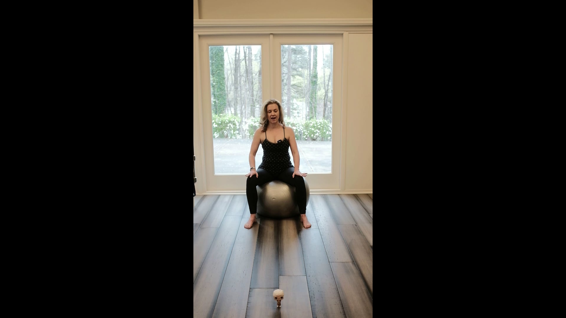 Ribcage Pelvic Mobility