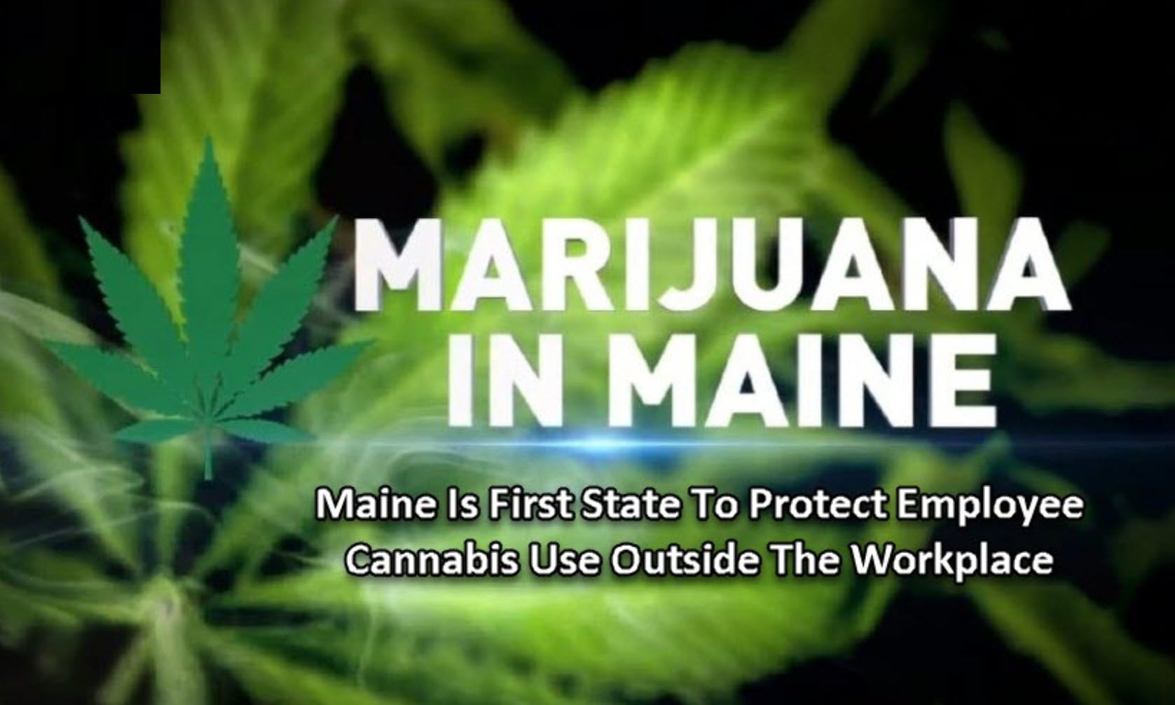 Maine Protects Employees Rights To Use Cannabis After Work, Will Other ...