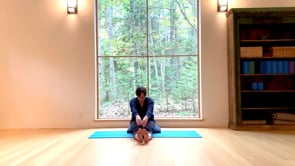 Seated Forward Bend