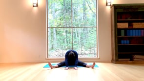 Seated Wide Angle Forward Bend