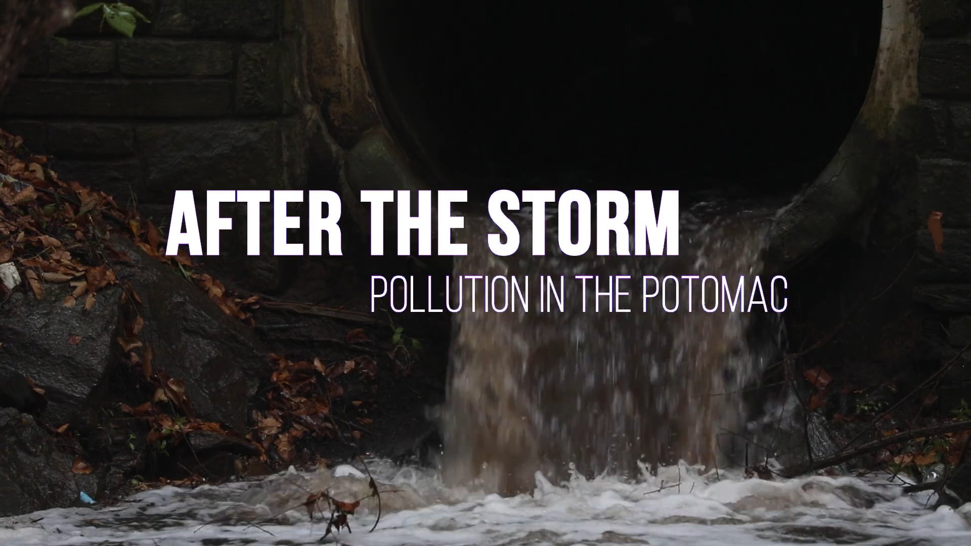 After the Storm: Pollution in the Potomac
