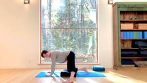 Tiger Stretch