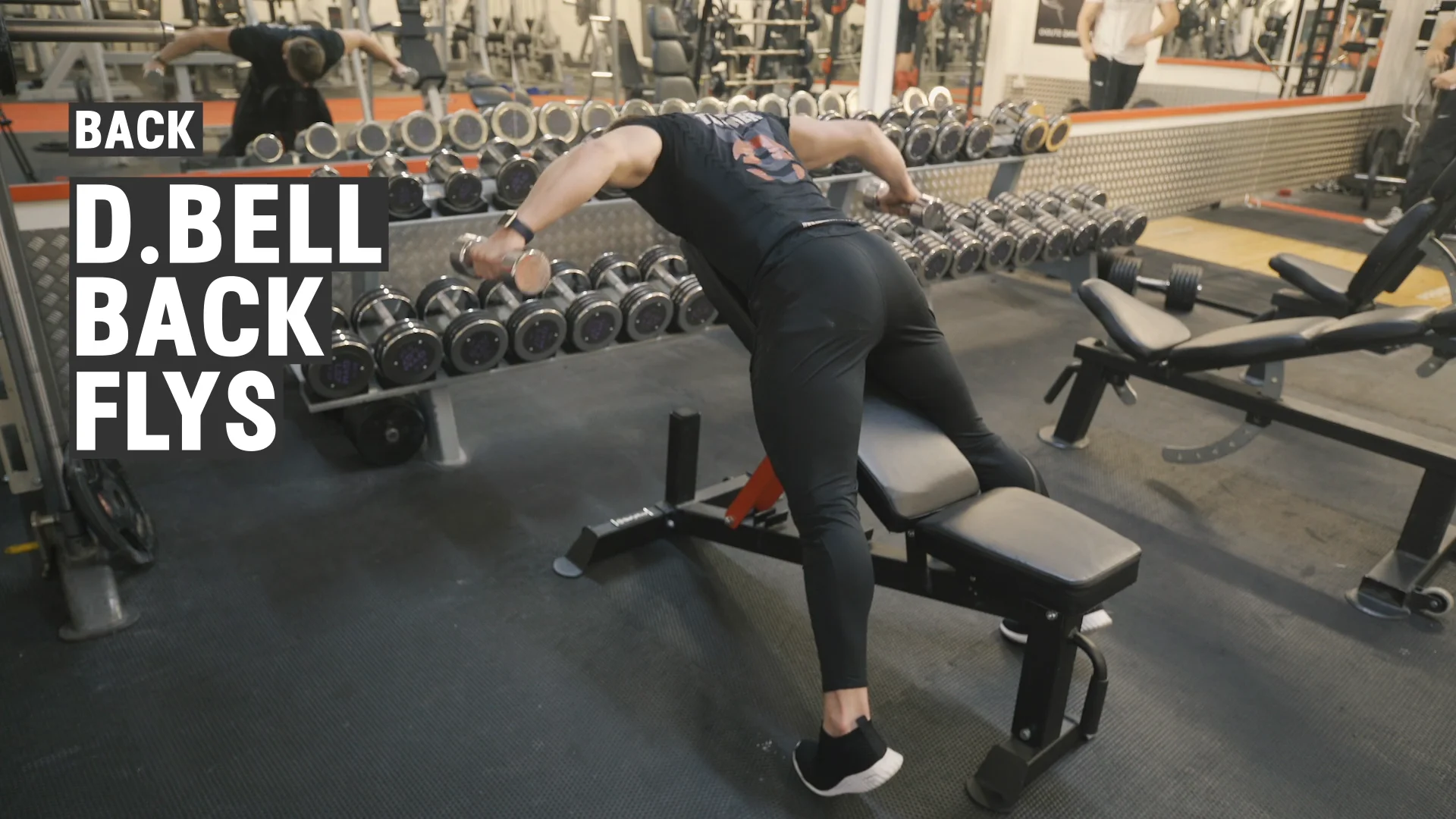 DBell Back Flys on Vimeo