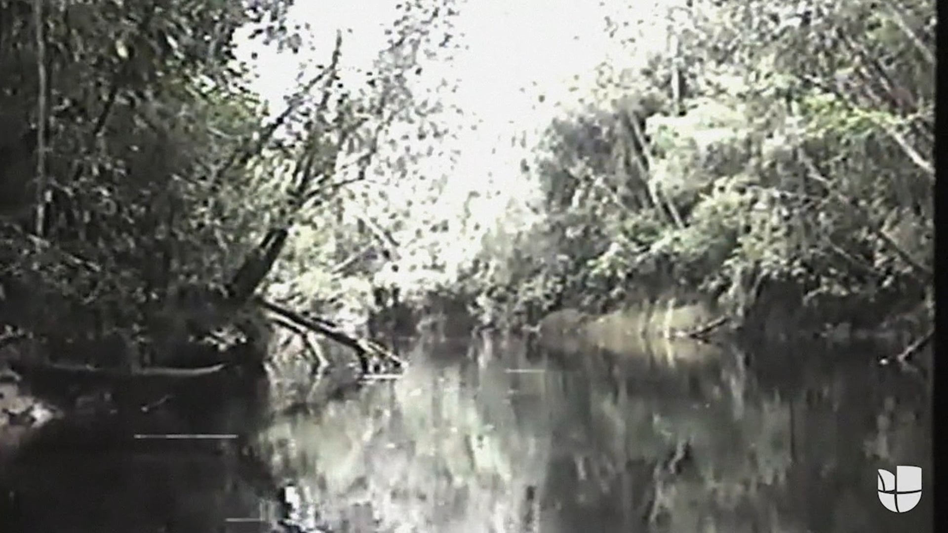 Chiribiquete: defendiendo el corazón del Amazonas