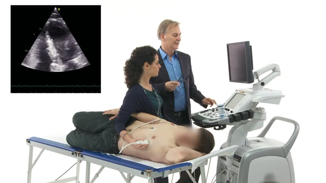 How can I optimize my ultrasound image?