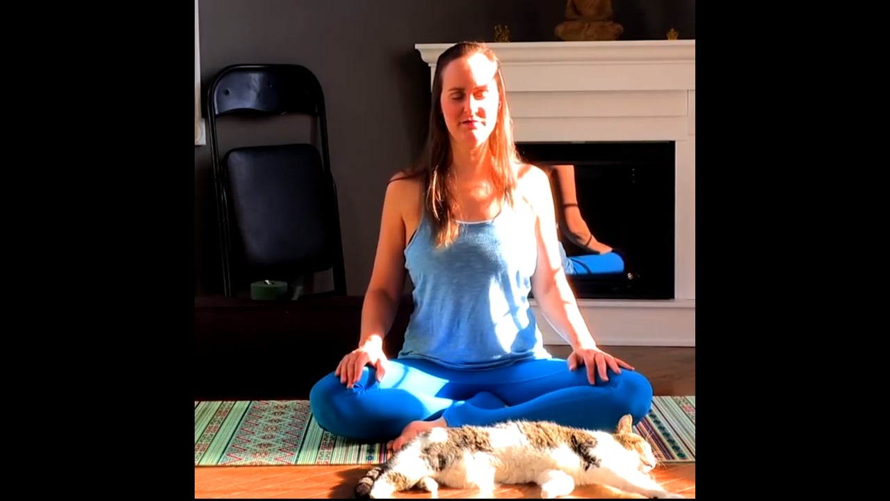 2.1 Jour 14. Yin Yoga du soir avec Maryse Lehoux (21 min)