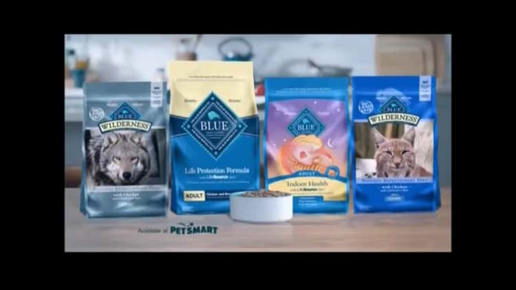 Blue wilderness cat food commercial sale