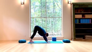 Downward Dog