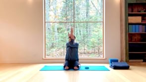 Hand Postures