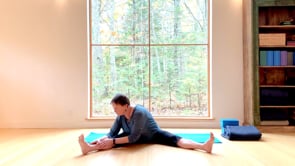 Seated Wide Angle Forward Bend with Twist