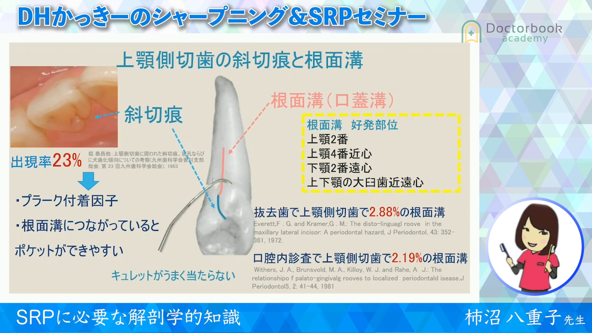 SRPに必要な解剖学的知識 #5