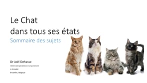 Watch Tout Sur Le Comportement Du Chat Online Vimeo On Demand On Vimeo