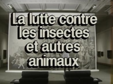 La conservation préventive dans les musées - La lutte préventive contre les insectes et les petits animaux (5/19)