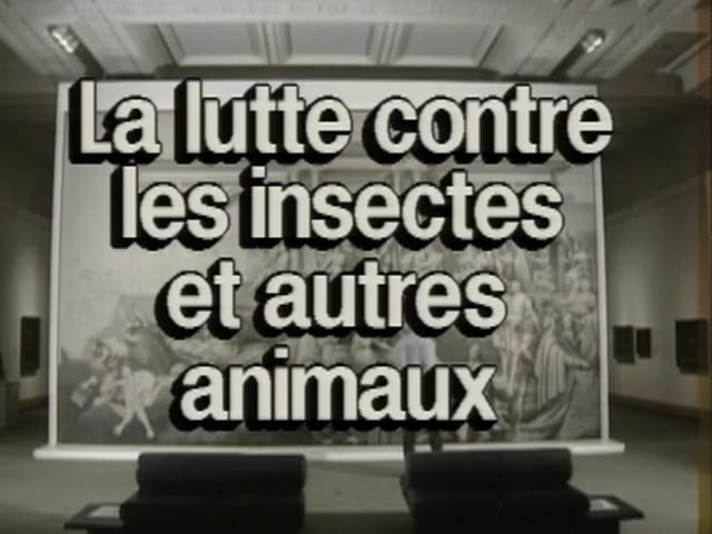La conservation préventive dans les musées – La lutte préventive contre les insectes et les petits animaux (5/19)