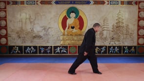 Related Embedded Video Item Thumbnail