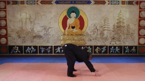 Related Embedded Video Item Thumbnail