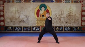 Related Embedded Video Item Thumbnail