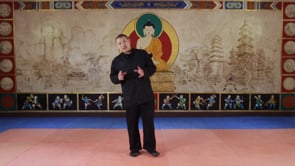 Lesson 8: Baduanjin Part Eight and Qigong Brush