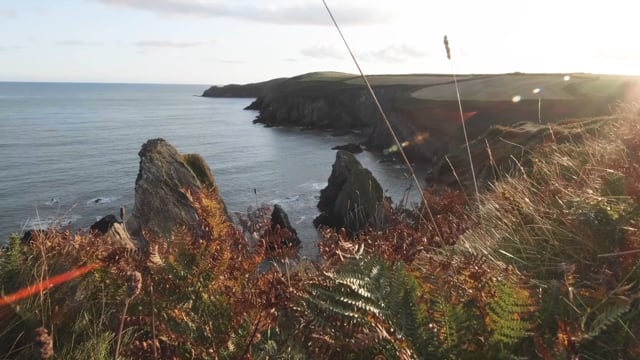 Ireland is dope