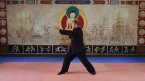 Related Embedded Video Item Thumbnail