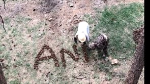 Anne Waldman's 75th Birthday