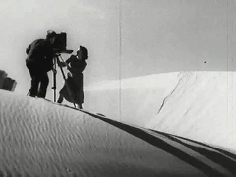 Edward Weston · SFMOMA