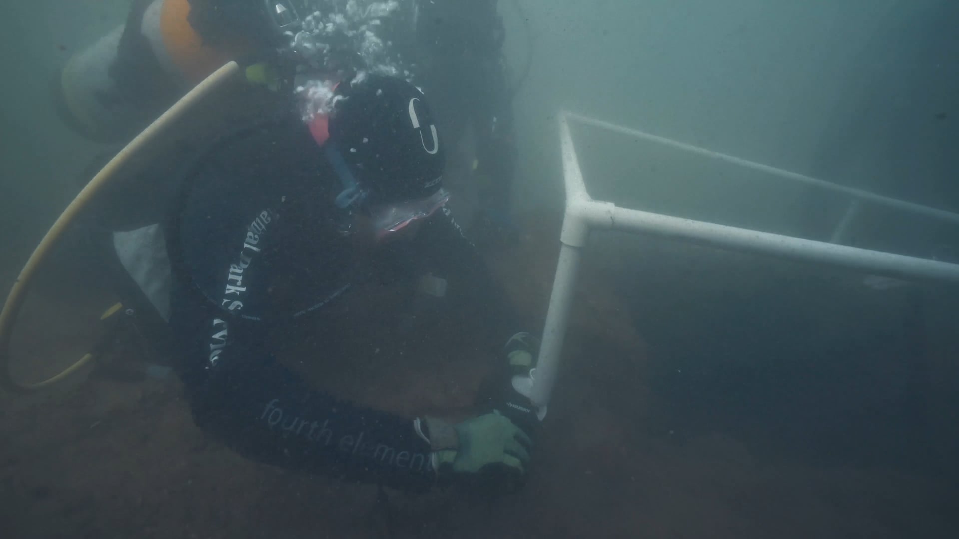 2019 Pearl Harbor Wounded Veterans In Parks